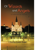 Of Wizards and Angels