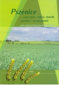 Pszenice