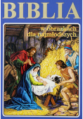Biblia w obrazkach dla najmłodszych