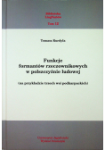 Funkcje formantów rzeczownikowych w polszczyźnie ludowej
