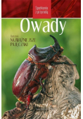 Spotkania z przyrodą Owady