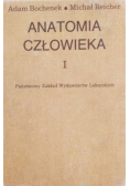 Anatomia człowieka Tom I