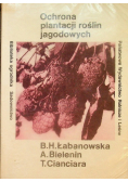 Ochrona plantacji roślin jagodowych