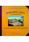 Bielsko Biała i okolice na dawnej pocztówce w czasach monarchii austro wegierskiej