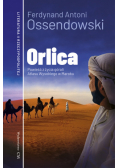 Orlica