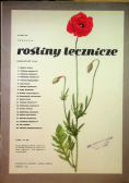 Rośliny lecznicze 20 tablic