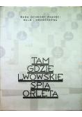 Tam gdzie lwowskie śpią orlęta