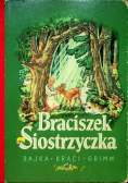 Braciszek Siostrzyczka