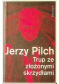 Trup ze złożonymi skrzydłami