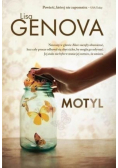 Motyl