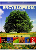 Encyklopedia Przyrody Tom 2 Lasy drzewa