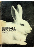 Hodowla królików