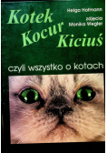 Kotek kocur kiciuś czyli wszystko o kotach