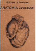 Anatomia zwierząt