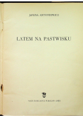 Latem na pastwisku