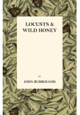 Locusts And Wild Honey