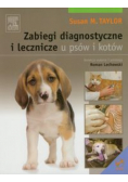 Zabiegi diagnostyczne i lecznicze u psów i kotów