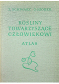 Rośliny towarzyszące człowiekowi