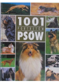 1001 portretów psów