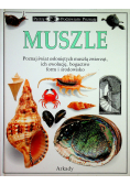 Muszle