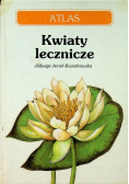 Kwiaty lecznicze