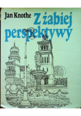Z żabiej perspektywy