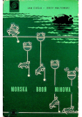 Morska broń Minowa
