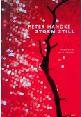 Storm still