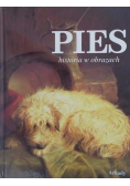 Pies historia w obrazach