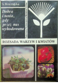 Rozsada warzyw i kwiatów