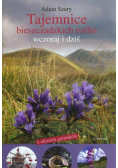 Tajemnica bieszczadzkich roślin wczoraj i dziś z atlasem gatunków