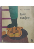 Dziwny nieznajomy