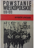 Powstanie wielkopolskie 1918 1919