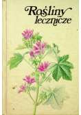 Rośliny lecznicze