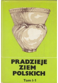 Pradzieje Ziem Polskich Tom I Część I