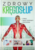 Zdrowy kręgosłup  Stres   Wady postawy  Ćwiczenia