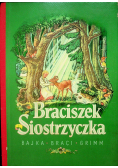 Braciszek Siostrzyczka