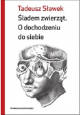 Śladem zwierząt O dochodzeniu do siebie