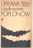 Uprawa i użytkowanie poplonów