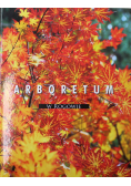 Arboretum w Rogowie