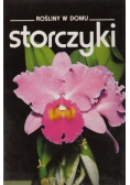 Rośliny w domu Storczyki