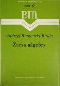Zarys algebry