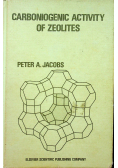 Carboniogenic activity of zeolites