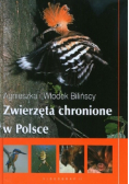 Zwierzęta chronione w Polsce