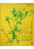 Życie roślin
