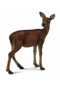 Łania