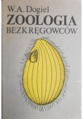 Zoologia bezkręgowców