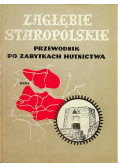 Zagłębie Staropolskie