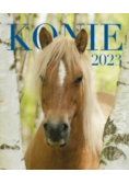Kalendarz 2023 Wieloplanszowy Konie ARTSEZON