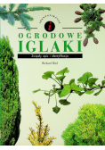 Ogrodowe iglaki